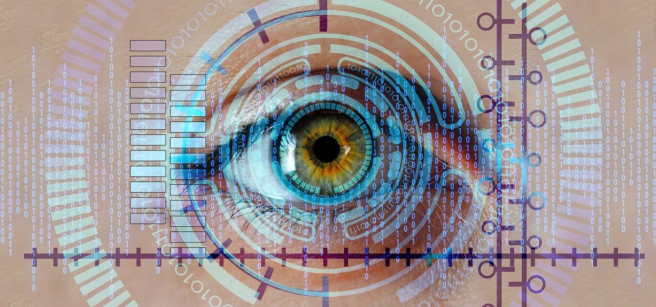 eye, iris, biometrics