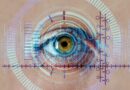 eye, iris, biometrics