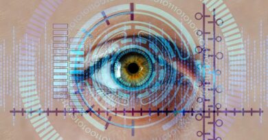 eye, iris, biometrics