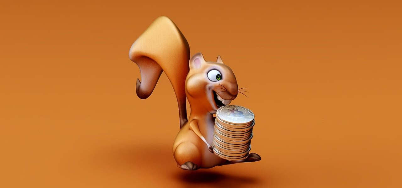 squirrel, 3d, cartoon