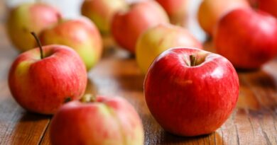 harvest, fruit, apple, ripe, red, healthy, fresh, bio, food, apple, apple, apple, apple, apple