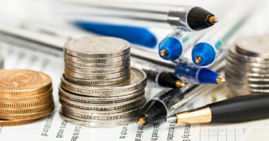 coins, currency, investment, insurance, cash, banking, financial, business, money, success, save money concept, save money, savings, stack of money, investment concept, commerce, money background, pen, biro, ballpoint, finance, office, economy, tax, investment, insurance, insurance, insurance, money, money, money, money, money, money background, finance, economy, tax, tax, tax
