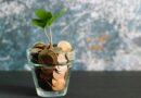 green plant in clear glass vase