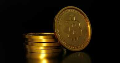 a pair of gold coins