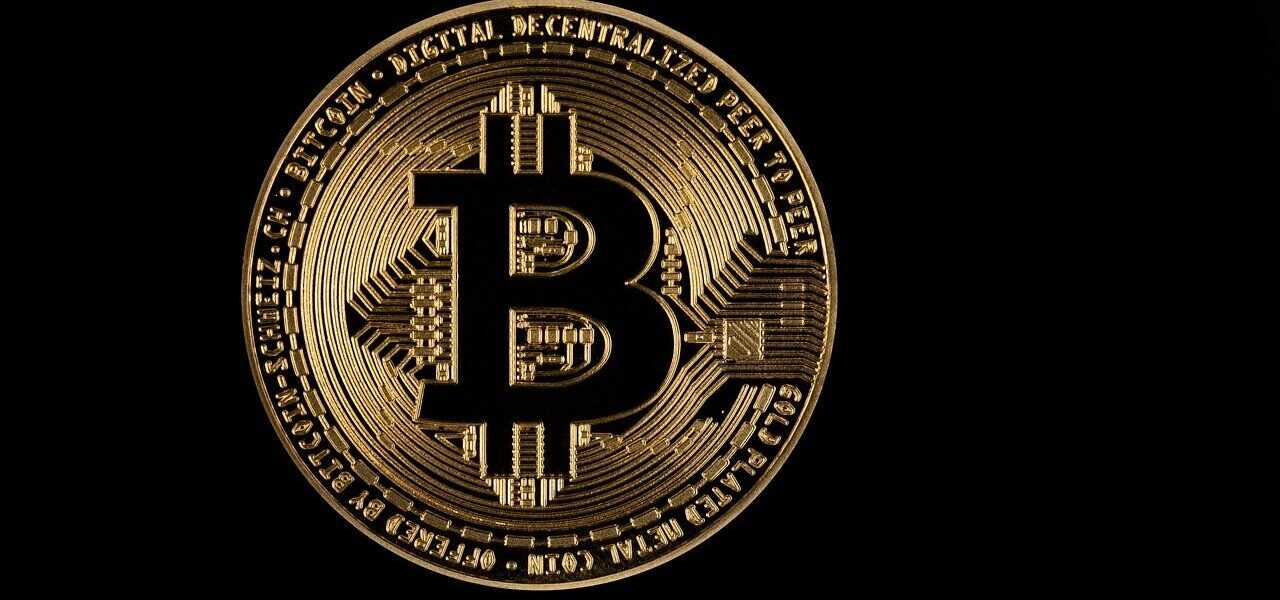 bitcoin, gold, coin, icon, symbol, logo, bitcoin gold, bitcoin logo, currency, cryptocurrency, black background, bitcoin, bitcoin, bitcoin, bitcoin, logo, logo, logo, logo, logo, bitcoin logo, bitcoin logo, bitcoin logo