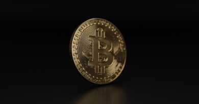 cryptocurrency, bitcoin, crypto, coin, money, 3d render, bitcoin, bitcoin, bitcoin, bitcoin, bitcoin