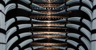 Organized network server cables for efficient data management.