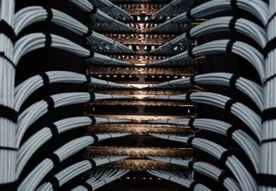 Organized network server cables for efficient data management.
