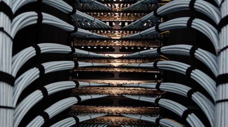 Organized network server cables for efficient data management.